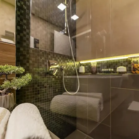 Appartement The Wolf Braşov