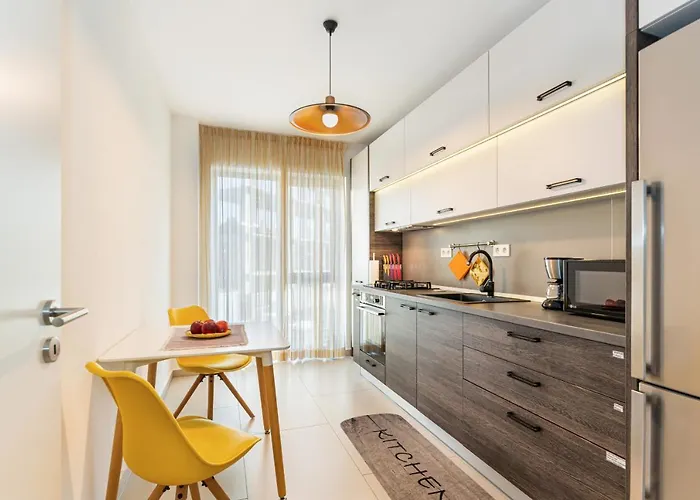 公寓 The Wolf 布拉索夫