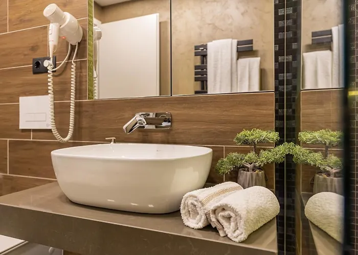 The Wolf 布拉索夫