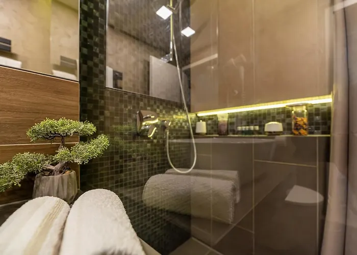 公寓 The Wolf 布拉索夫