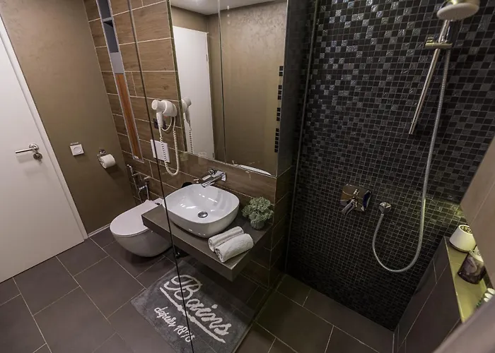 The Wolf Lejlighed Braşov