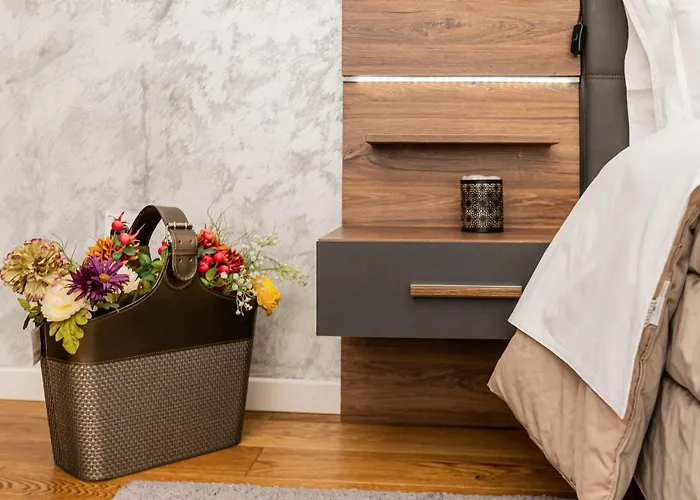 The Wolf 公寓 布拉索夫