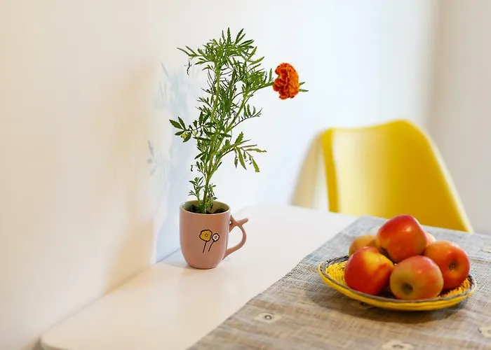 The Wolf 布拉索夫