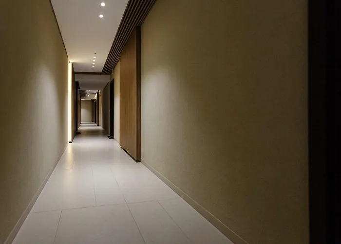 The Wolf 布拉索夫